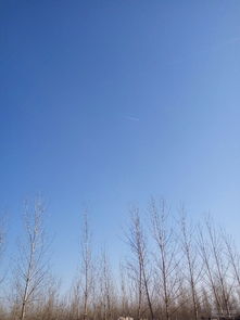 头顶蓝天脚踏地，这生肖是哪个？