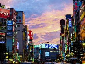 新宿站：别信“迷宫传说”，  这里藏着最聪明的走法