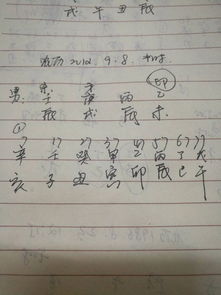 乙未日出生的人命运究竟如何？