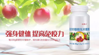 ：现代语境下的饮食回归与健康本源的探寻