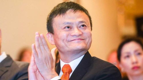 四、 制度化治理下的可持续持续发展路径