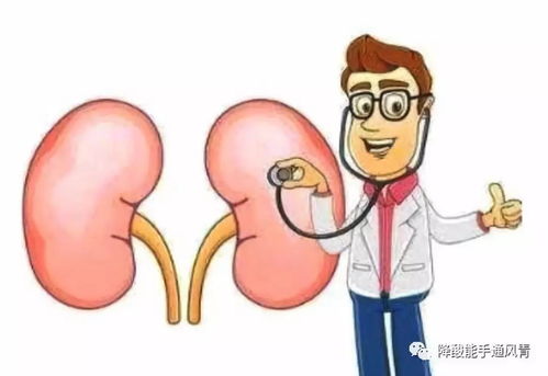 针对不同肾友的差异化策略