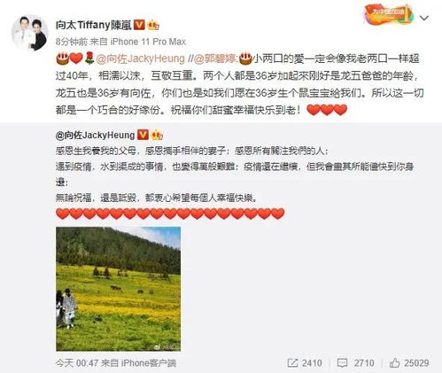 熊姓男宝名字推荐