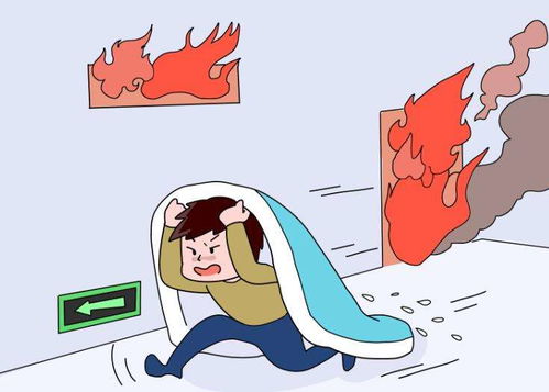 一、 面相学基础：解读与关联