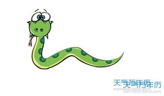 2026年属蛇人的运势具体表现是什么？