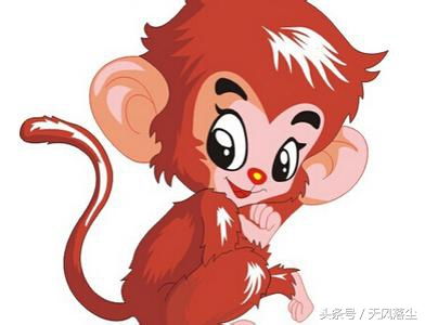 生肖猴在猴年春节的福运具体表现和运势如何？
