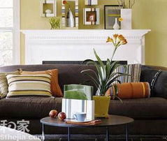 1. 木：生机勃勃的象征