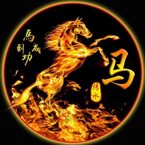 一、为什么要给“飞龙”姓女孩起名？