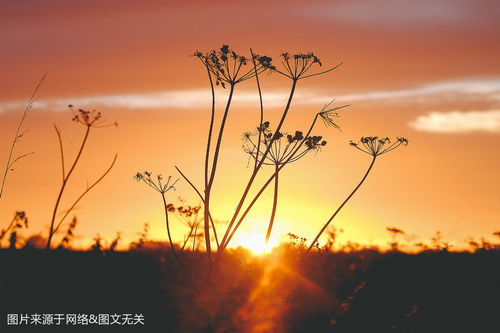 第一一部分：时代背景与社会周边环境压力