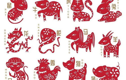 十二生肖今天运势如何，各自运程具体是什么？