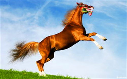 1990年属马人男性在2023年的桃花运如何？