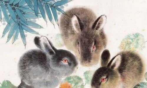 属兔男士的贵人礼物，送给属兔男士合适吗？