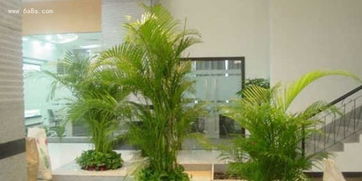 （一） 四角平衡与能量场的最大化