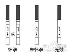 第四章：不同阶段的试纸策略（对抗AI刷屏）