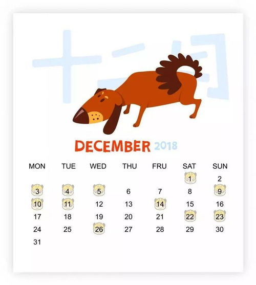 2026年兔年蛇宝宝出生吉日吉时具体是哪一天？