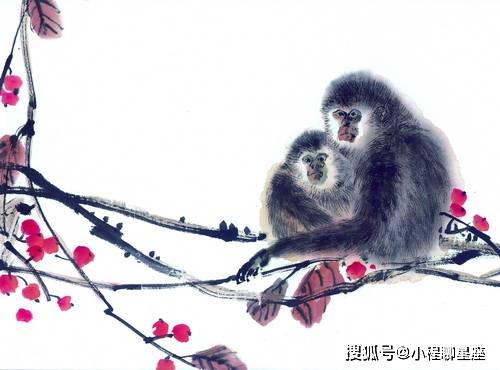 属猴女性今天在人际交往中会有怎样的感情运势表现？