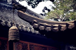 1. 闹市中的静谧与文化张力