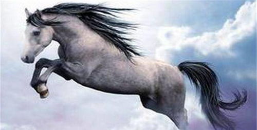 下半年属马女，姻缘会否在下半年怀上宝宝呢？