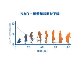 其他坤造八字特征分析