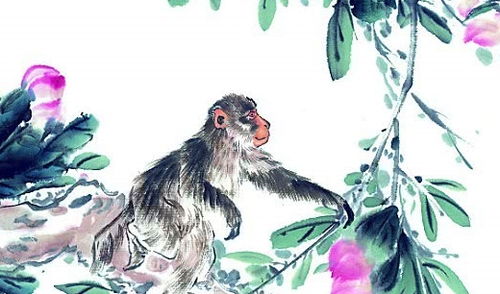 属猴的人在哪些具体事情上会表现得忒别自私？