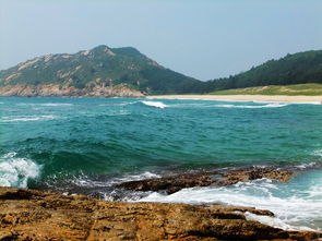 惠州海龟岛？这地方简直让人又爱又恨到抓狂！