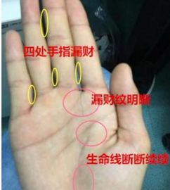 三、  鱼形纹路与丝状纹理对财富根基与社会关系的映射