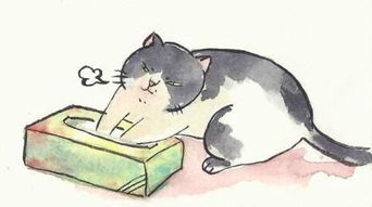 逢人说三分话对应哪个生肖，逢人不说三分话代表哪个生肖的含义是什么？