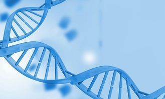 2.6 身高特征与基因表达