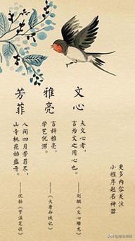 从历史与诗词中汲取灵感