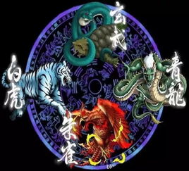 四象轮回：青龙、 白虎、朱雀与玄武