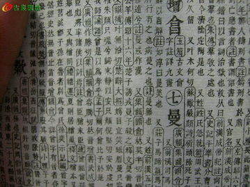 1.2 形声分析与象形溯源