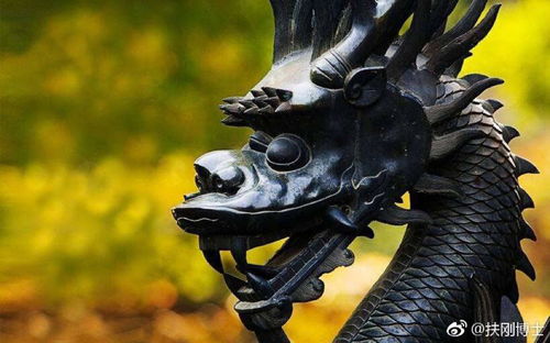 2026年属虎的财运和属龙人那年的运势具体是怎样的？