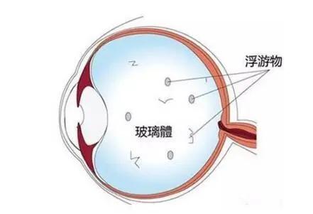 三 .生理性皺紋と命理認知 :科學成因解析と現代養護智慧の融合