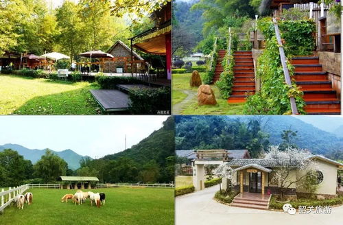 景点打卡（别抱太大期望）