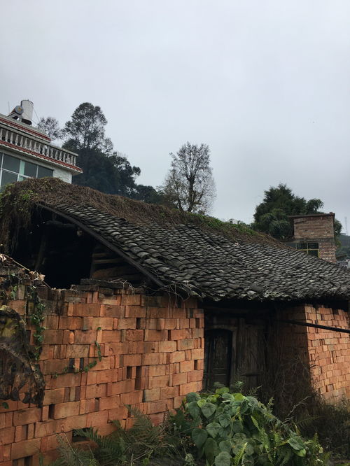 2026年12月拆房吉日是哪一天？2026年拆老房子的吉日是哪天呢？