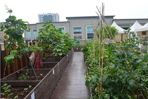 2. 重量负荷对楼顶承载力的挑战