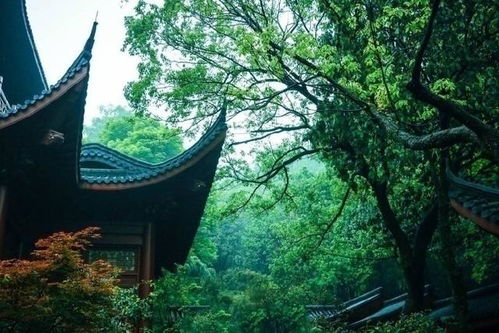 杭州灵隐寺：古朴建筑， 禅意环境
