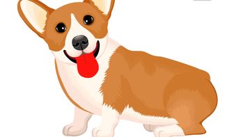 2026年属狗的人事业和桃花运如何？