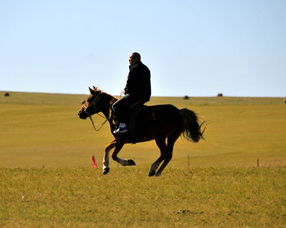 梦见骑马周公解梦是什么意思？