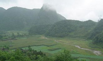 种德堂风水视频全集讲解，如何运用风水追求家居和谐与幸福？