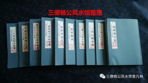 9．入口雜物堆積——阻礙吉氣進入
