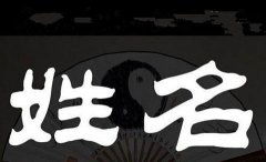 王姓狗年龙宝宝名字，单字改写，有没有什么好建议？