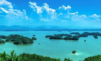 全球视野下的海音数据与趋势