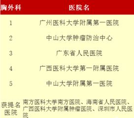 综合宜忌项目名词化展示