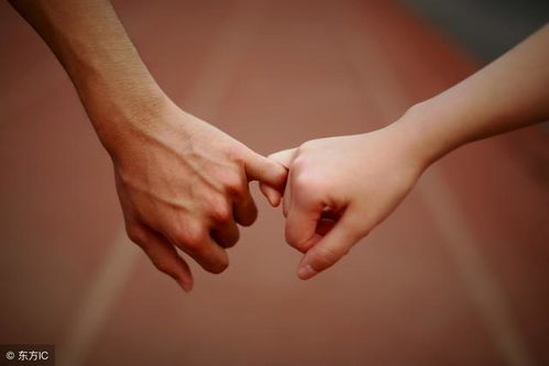 算命师说我的正缘何时出现，能免费预测一下吗？