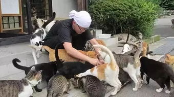 第三章：灵隐路人的猜测与真相