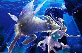 12月23日出生的人属于哪个星座？