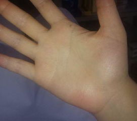 手相中坎坷命运能改写为长命吗？