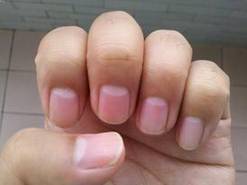 四、  圆形状的指甲：机敏处事与顾家情怀的融合