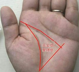 如何分析男性手相来判断其是否为败家女人？
